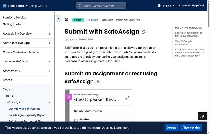 Official Blackboard SafeAssign assignment guidance with vendor example interface