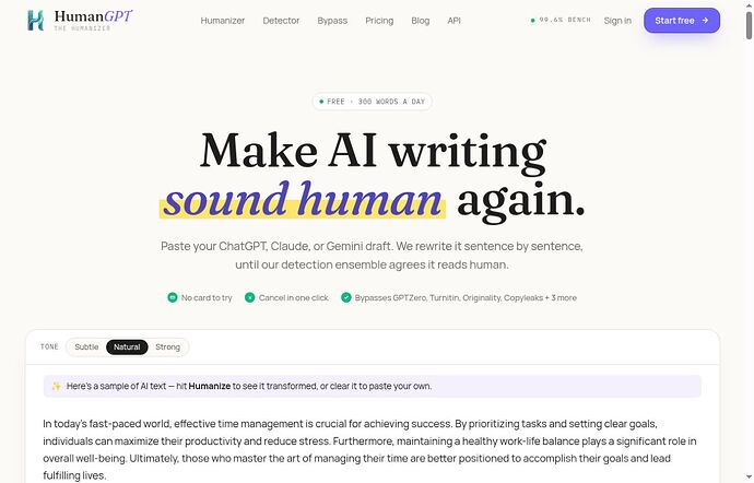 HumanGPT headline advertises 300 free words per day, vendor sample only